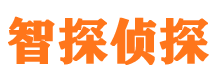 博野智探私家侦探公司